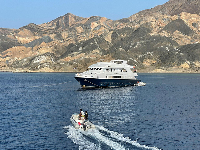 MY JPMarine - Pelagic Trail - Red Sea