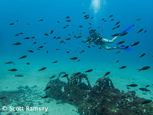 Underwater pic at Príncipe Island taken by Scott Ramsay