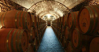 Prosecco vineyards