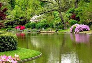 Botanical Gardens, Peradeniya