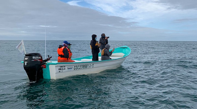 Whale watching at at San Ignacio Lagoon