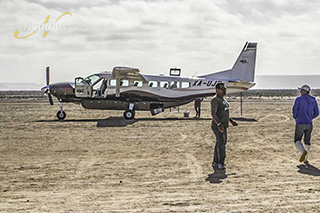 Charter flight - San Ignacio - Pacific Gray Whales - 3 Nights/4 Days