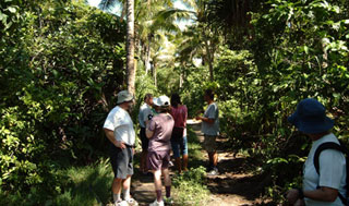 Sandy Beach Resort - Tonga Dive Resorts - Dive Discovery Tonga