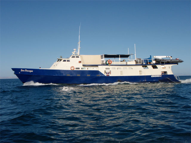 Sea Escape - Socorro Liveaboards - Dive Discovery Socorro Island