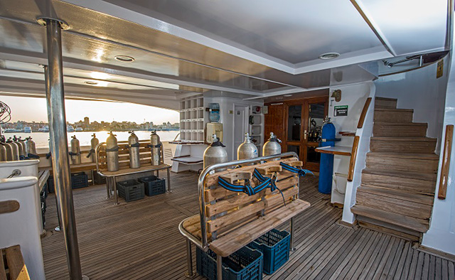 Dive deck - Sea Serpent Contessa - Red Sea Liveaboard