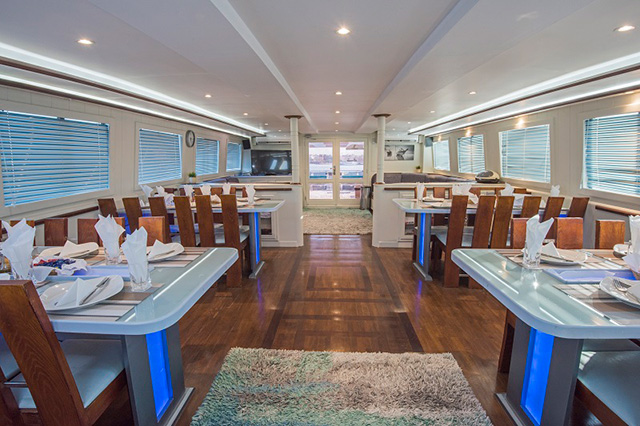 Dining area and salon - Sea Serpent Contessa - Red Sea Liveaboard