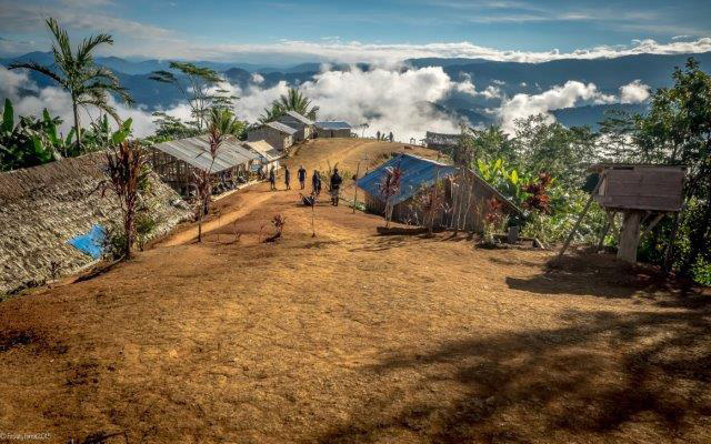 In the forest - Shaggy Ridge Trek, 9 Days - PNG Land Tours - Dive Discovery PNG