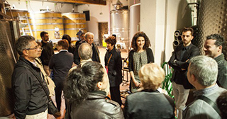Wine tasting - Siena Wine Tour
