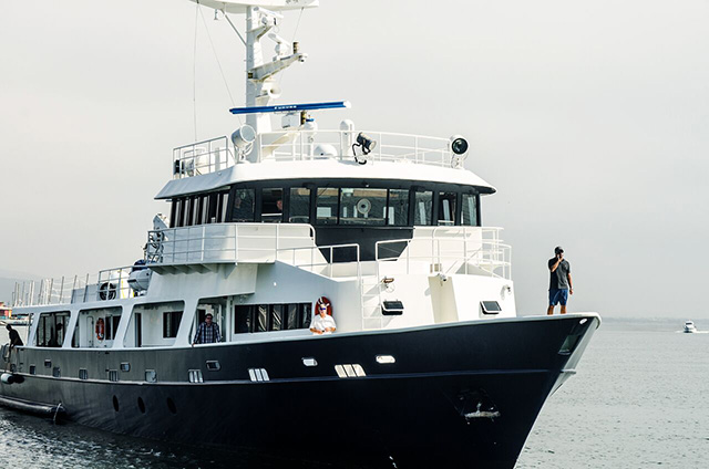 Socorro Vortex - Socorro Liveaboards - Dive Discovery Socorro Island