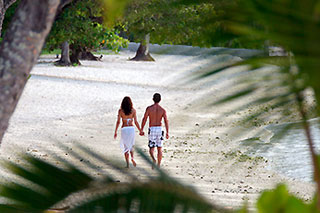 Hotel Sofitel Moorea Ia Ora Beach Resort, Moorea - Tahiti Dive Resorts  - Dive Discovery Tahiti