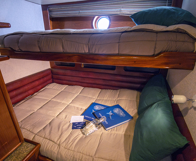 Superior Cabin - Solmar V - Socorro Liveaboard