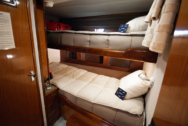 Standard Cabin - Solmar V - Socorro Liveaboard