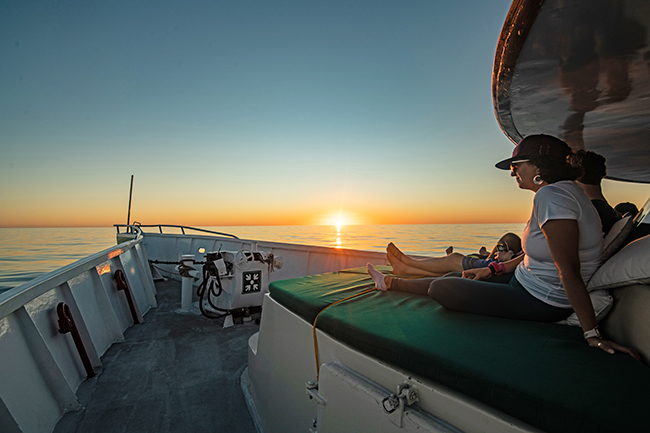 Sundeck - Solmar V - Socorro Liveaboard