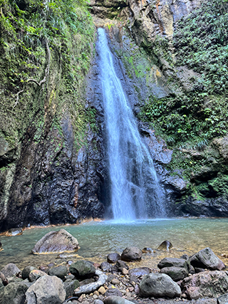 Waterfall in Dominica