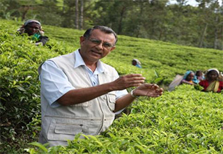 Tea Experience Tour