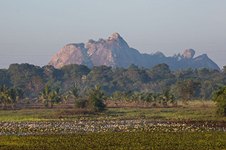 Anuradhapura - The Mudhouse - Accommodation in Sri Lanka