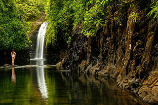 Nature - Tides Reach Resort - Fiji Dive Resort