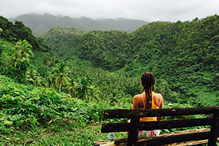 Nature - Tides Reach Resort - Fiji Dive Resort