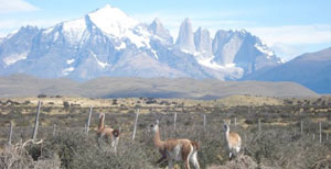 Torres del Paine National Park (Chile) - Argentina - Dive Discovery