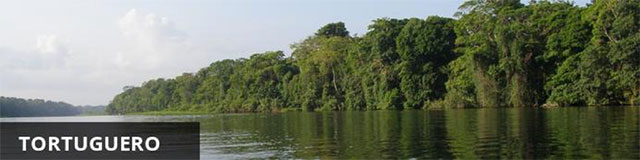 Tortuguero