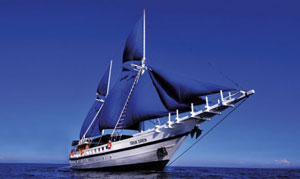 S/Y Truk Siren - Micronesia Liveaboards - Dive Discovery Micronesia