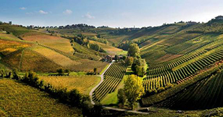 Turin Wine Tour