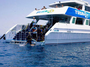 Tusa 6 - Australia Liveaboards - Dive Discovery Australia