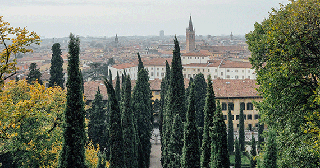 Verona wine tour