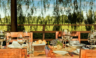 Vineyard lunch