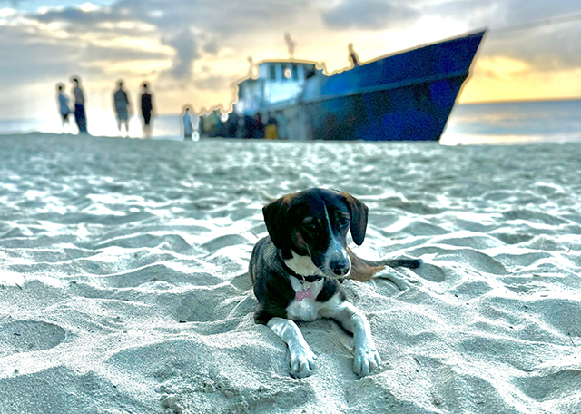 Dinner on the beach - Voaara Madagascar - Madagascar Dive Resort