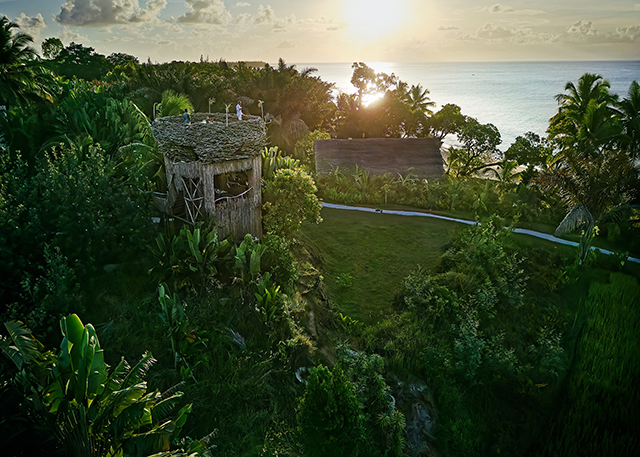 Bird's nest - Voaara Madagascar - Madagascar Dive Resort