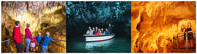 Waitomo Caves Tour