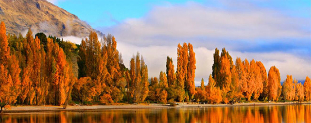 Wanaka