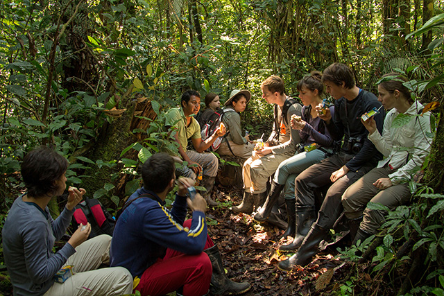 Yasuni National Park Exploration