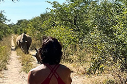 Green Safaris Zambia & Malawi Agent Fam! May 21-29 2022 Trip Report - Africa Discovery