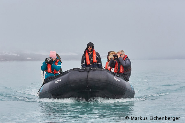 Crusing in the Zodiacs