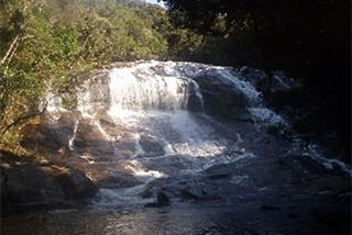 Atlantic Forest