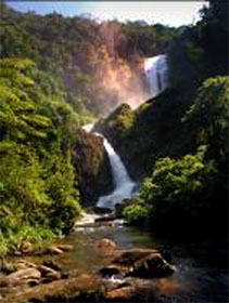 Atlantic Forest, Brazil