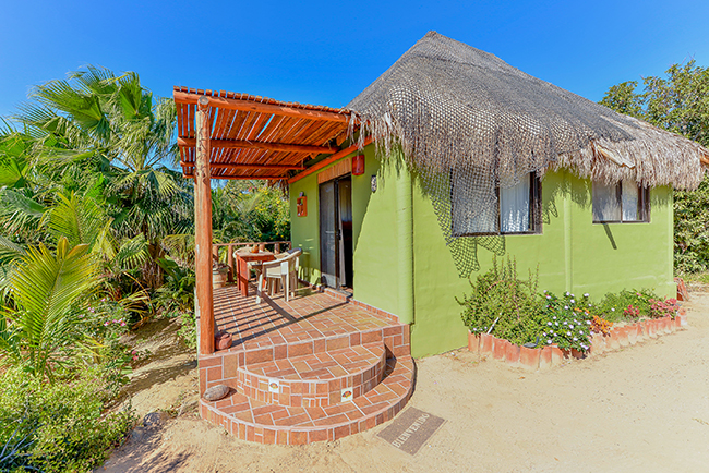 Cabo Pulmo Accommodation - Eco #4