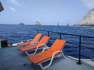 Sun deck - Ferox - Malpelo Island Live Aboard