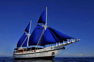 S/Y Indo Siren  - Indonesia Liveaboards - Dive Discovery Indonesia