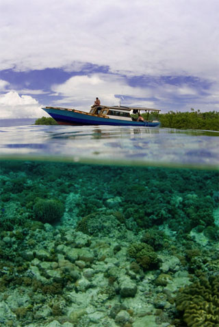 Living Colours Diving Resort - Indonesia Dive Resorts - Dive Discovery Indonesia