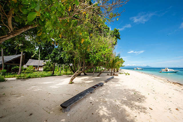 Dive boats - Metita Beach and Dive Resort - Indonesia Dive Resort