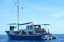 Ocean Hunter I liveaboard in Palau