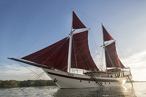 Tiaré  - Indonesia Liveaboard